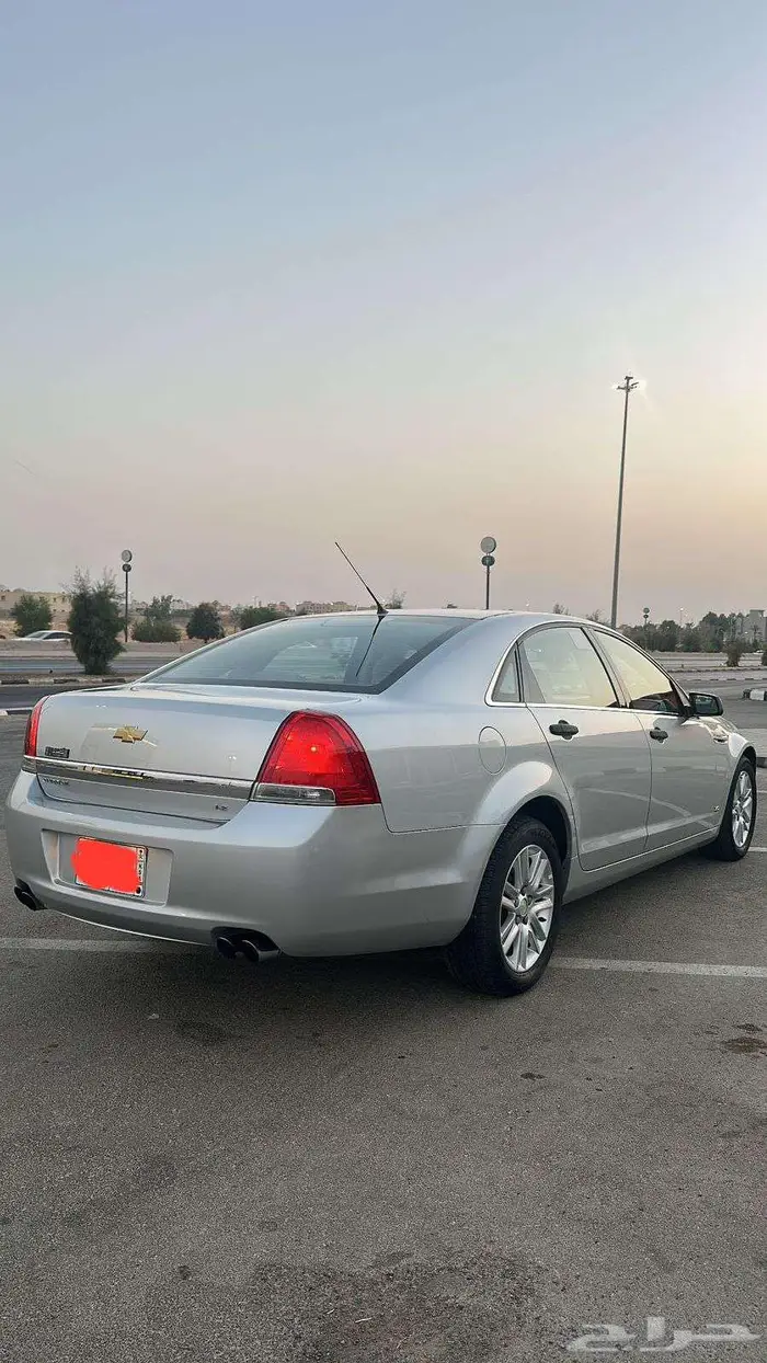 كابرس 2013 1