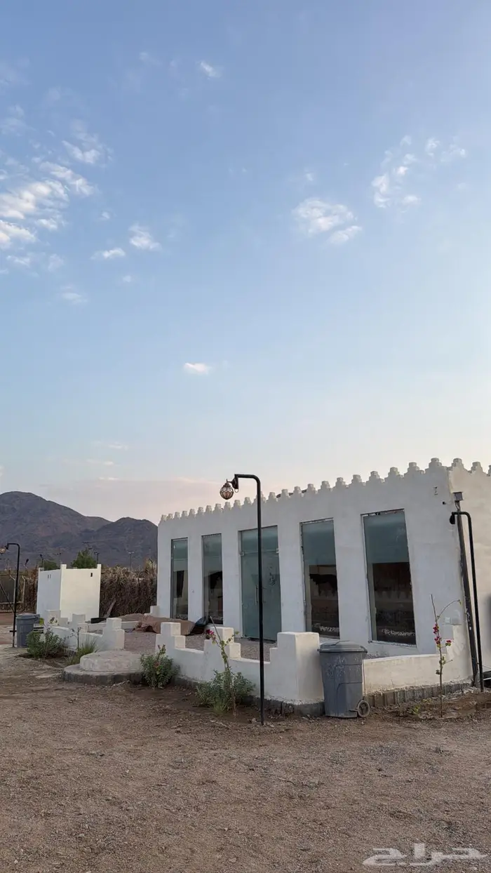 مربط ومخيمات الاكحل للخيل العربيه الاصيله 3