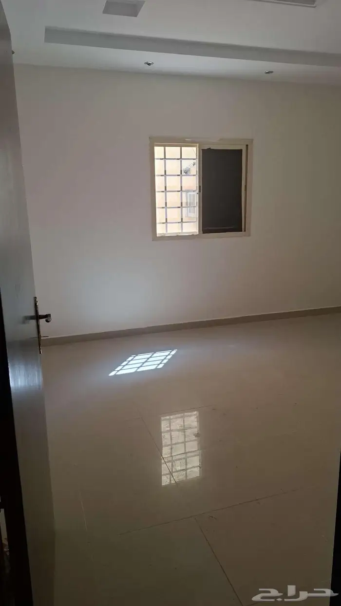 احتاج شريك سكن 0
