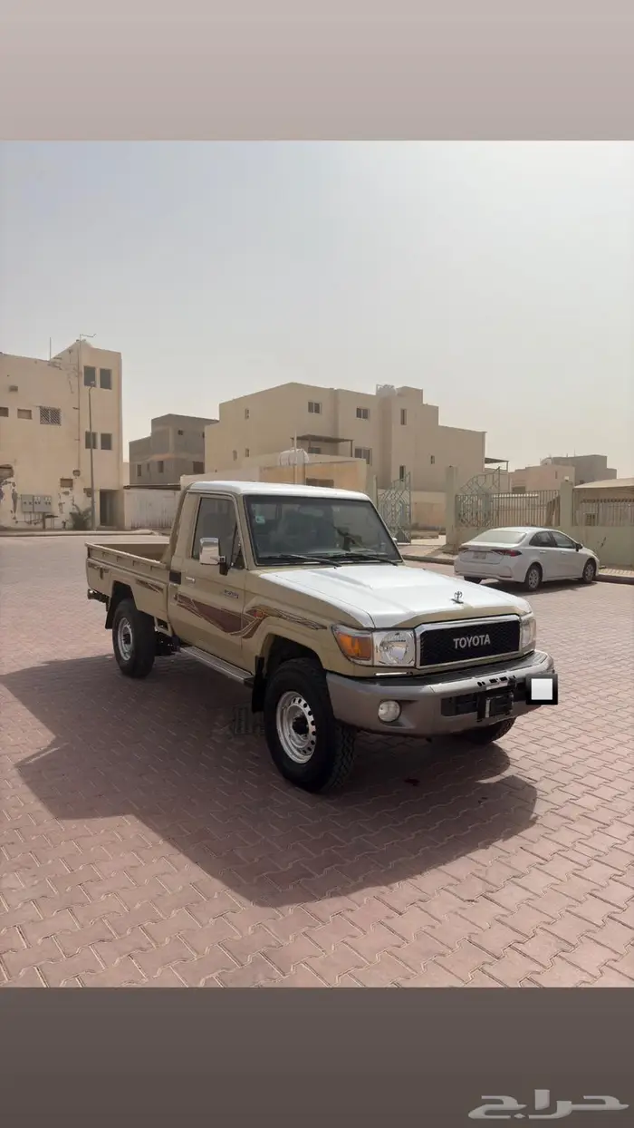 شاص2019 1