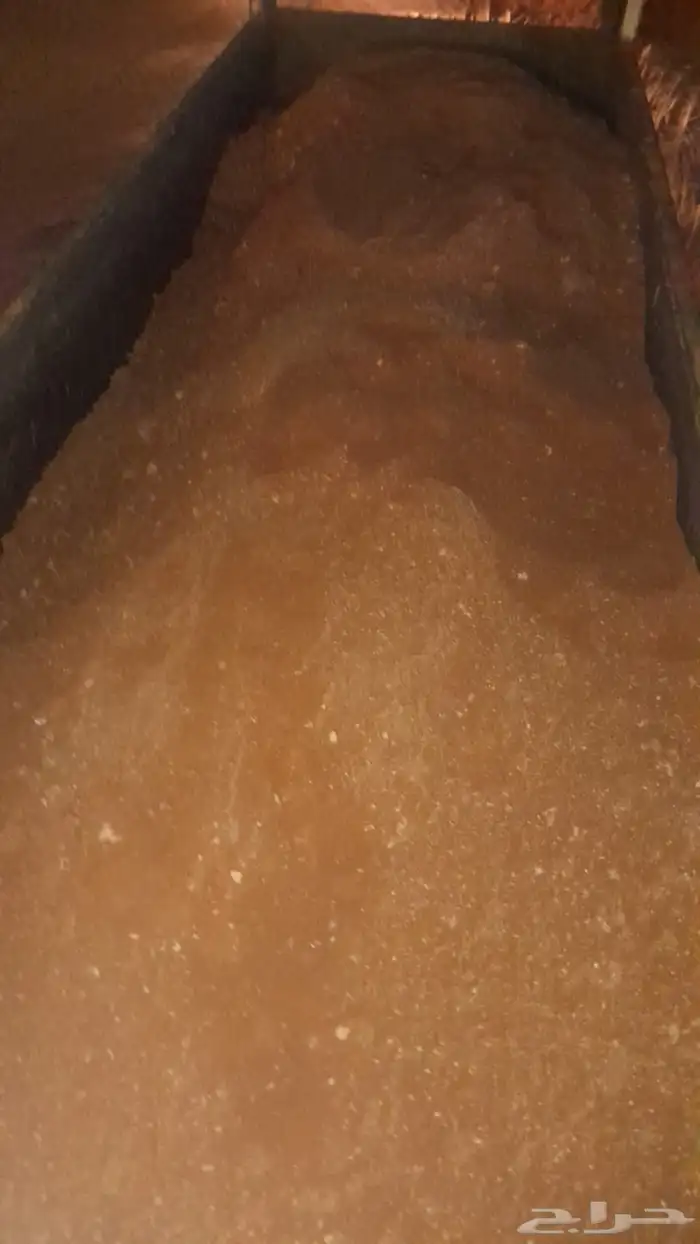 دفان صبيز كساره ناتج حفر 48