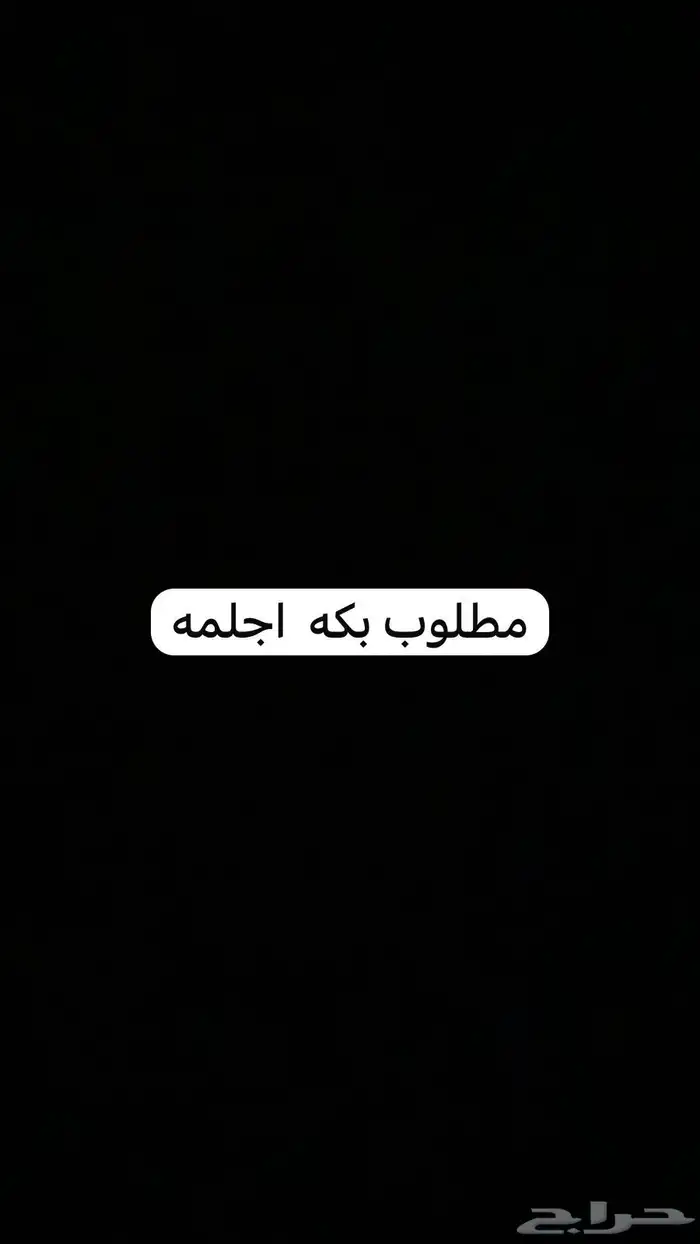 مطلوب بكه جلمه 0