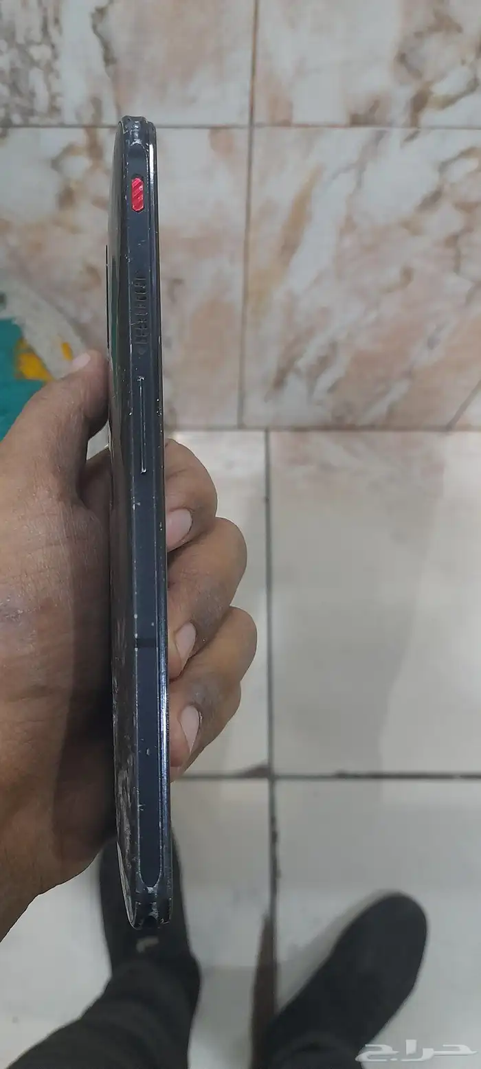 ريد ماجيك 6 العادي 1