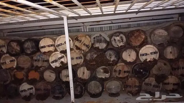 نحل بلدي اميات للبيع 2