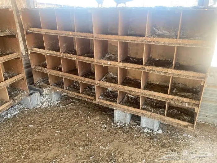 ابراج حمام 0