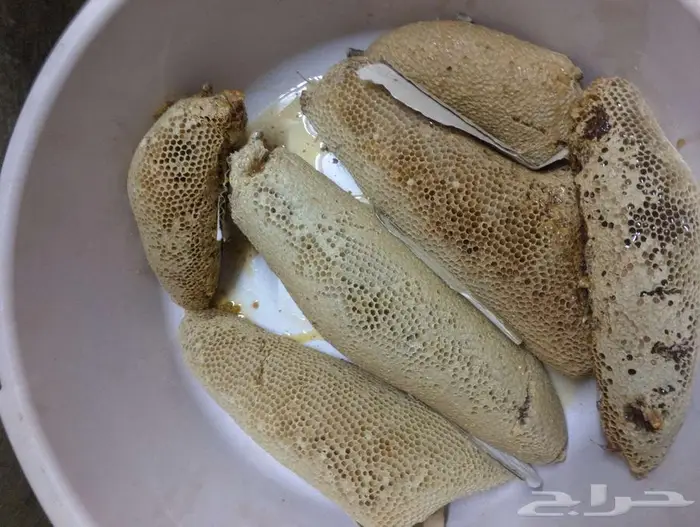 عسل بري حر قطف جديد 17كيلو موجودالان انا بمكه المكرمه 0