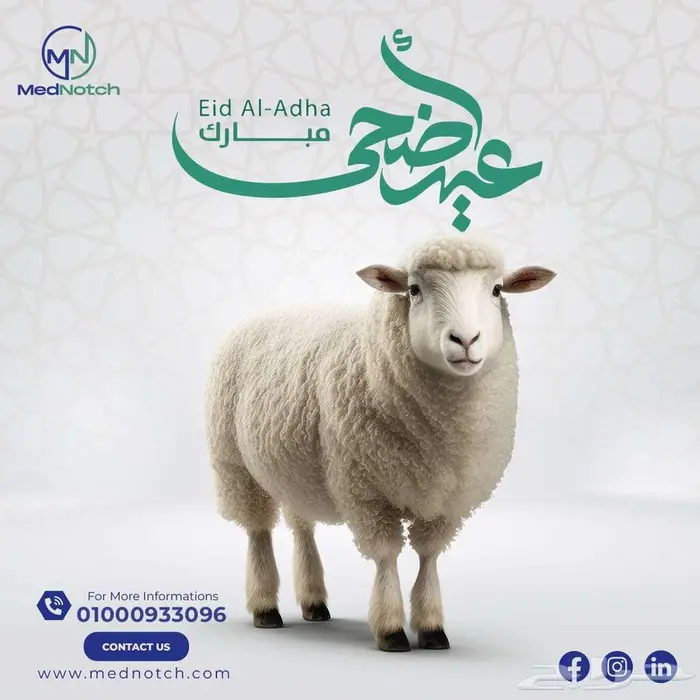 مصمم جرافيك 8