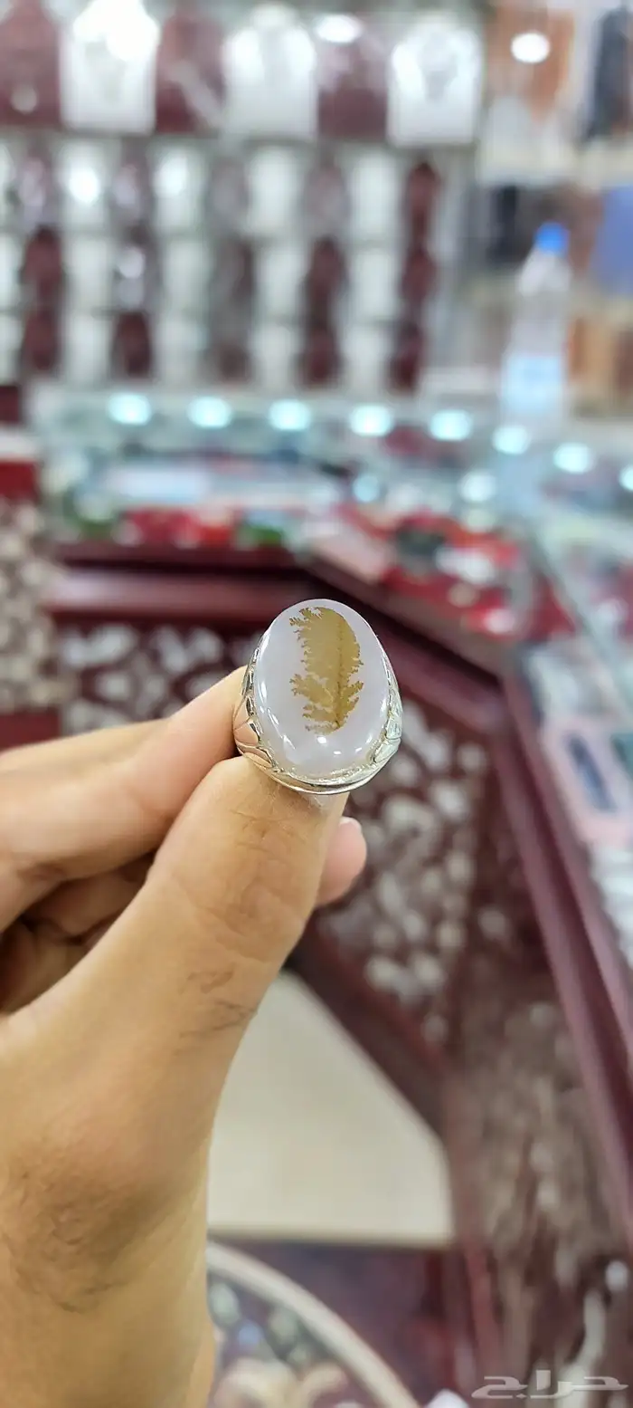 عقيق يماني مشجر واضح طبيعي على فضه نقيه 0