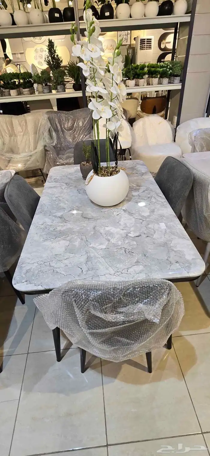 سفرا طعام مع كرسي جديد كرتون 8