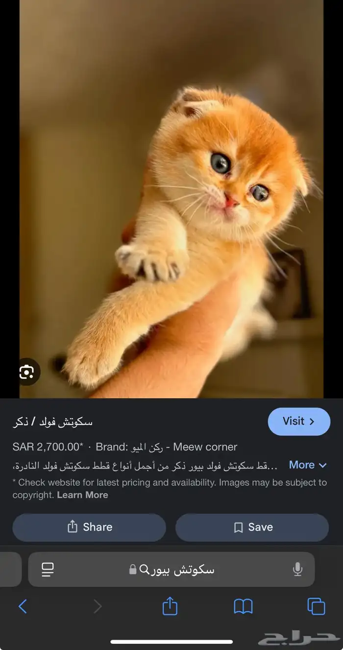 ابي سكوتش التبني لعمر 9شهور الله. يسعدكم الي عنده 0