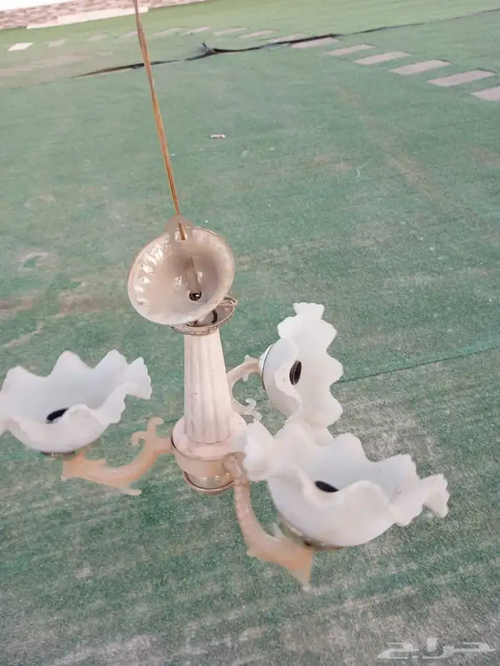 نجفه موجود 5 1