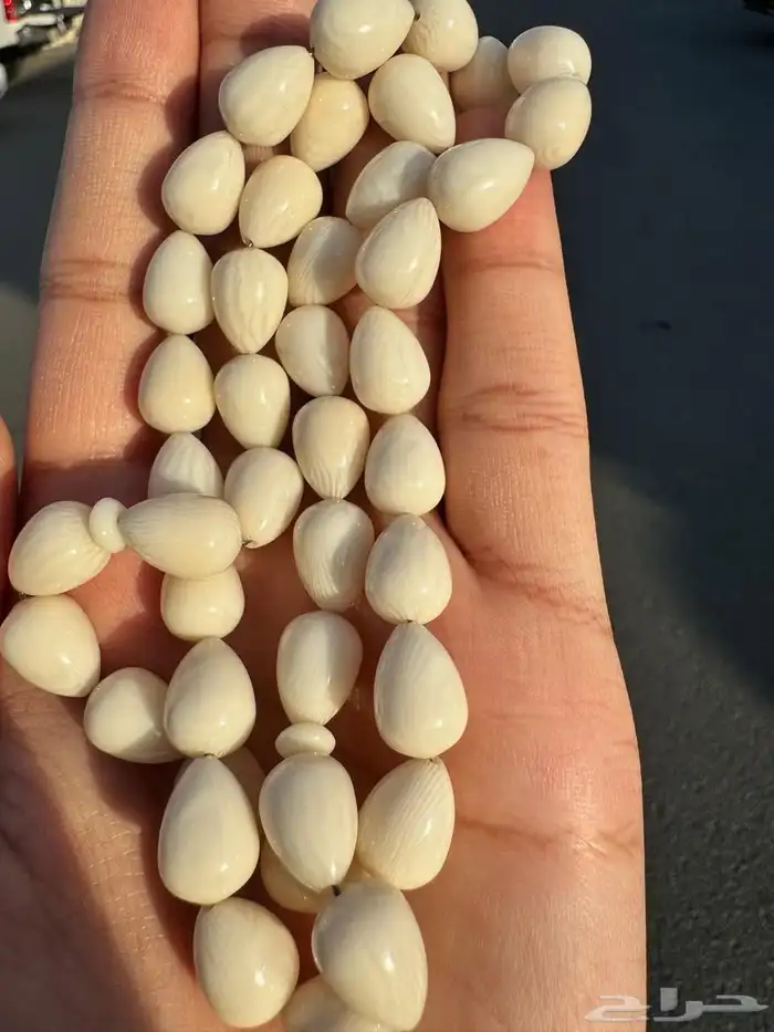 مسباح مستكة 3