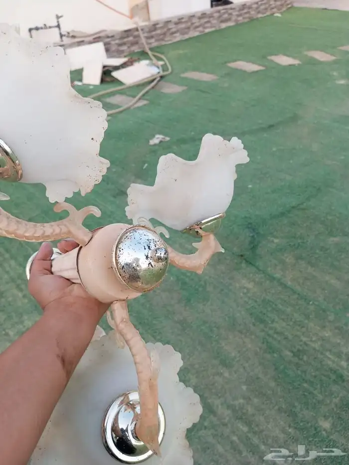 نجفه موجود 5 2