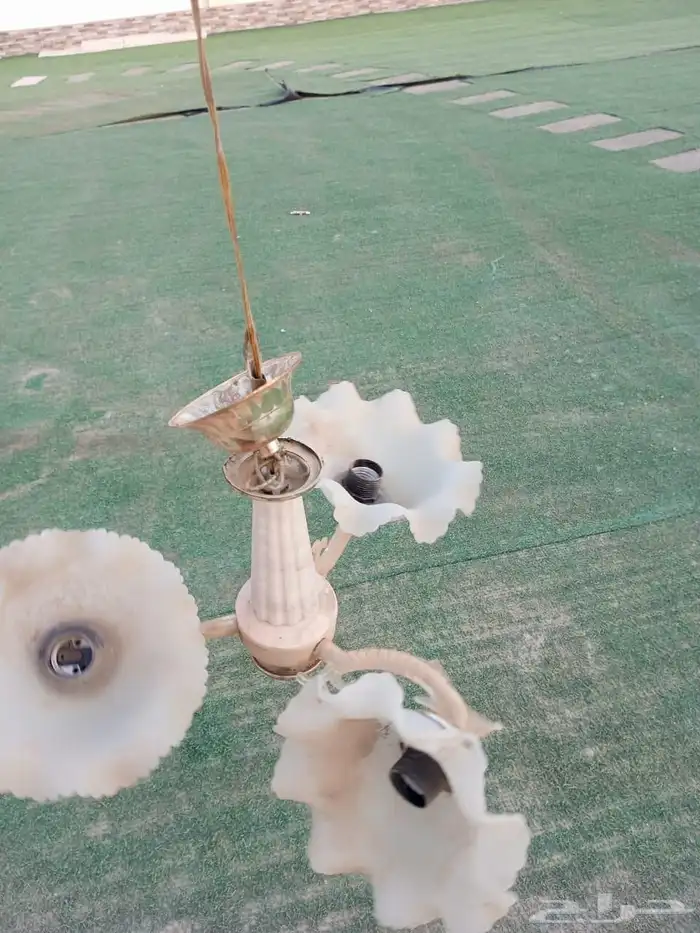 نجفه موجود 5 0