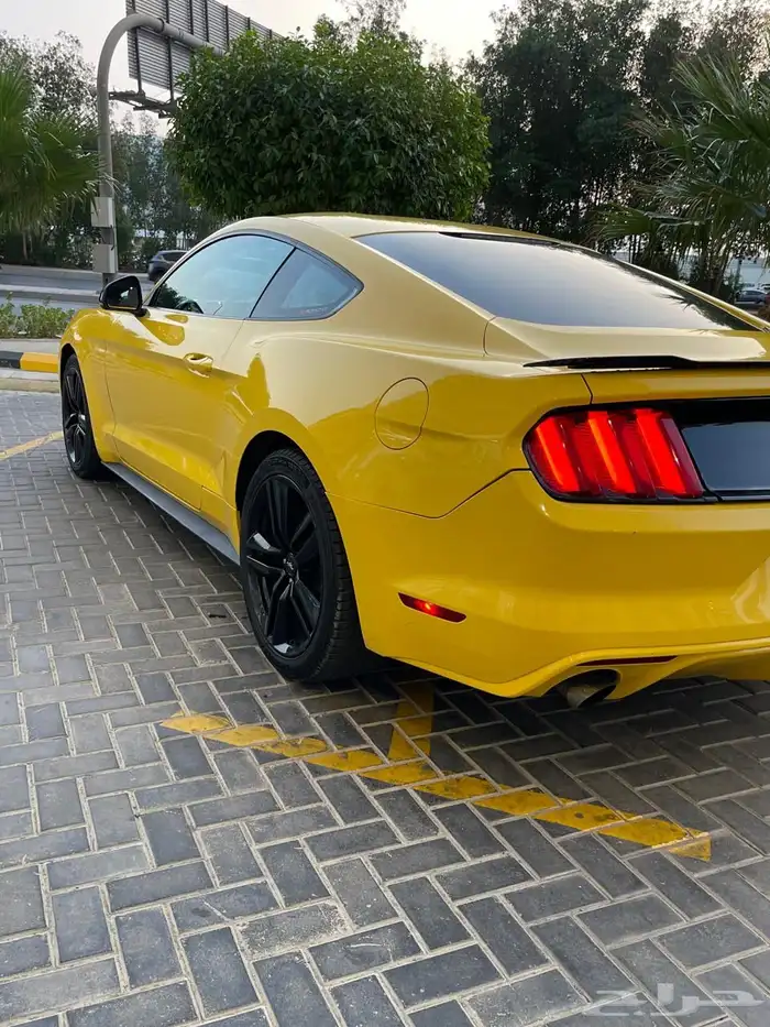 موستنج ايكو بوست 2016 V4 تيربو بودي بلد وارد سعودي 55