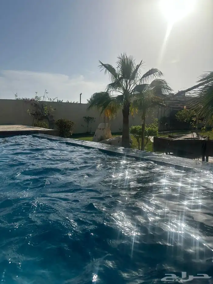 مزرعة لإيجار اليومي 29