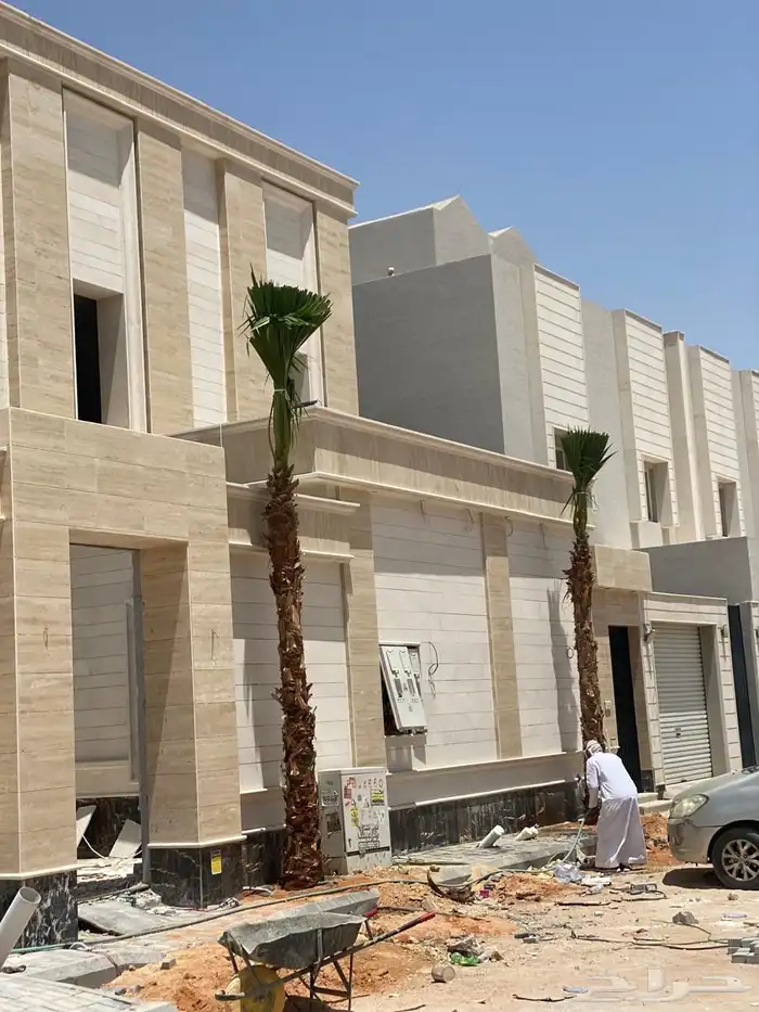 نخيل واشنطن للبيع بجميع انواع المقاسات لتواصل 9