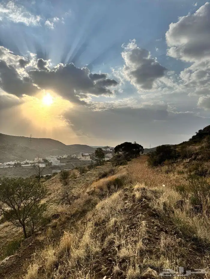 ارض زراعية 2