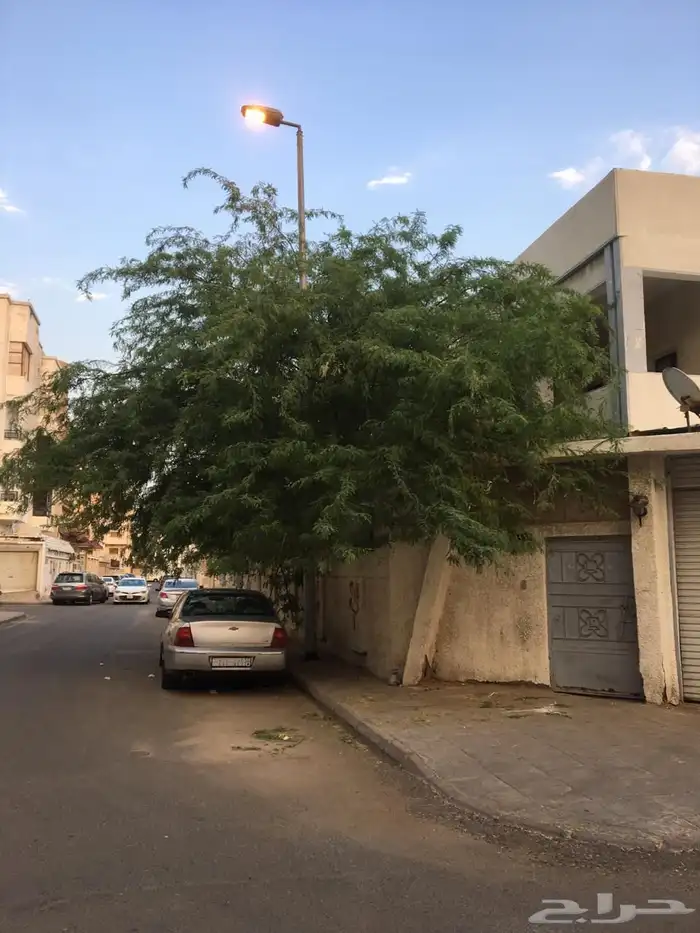 فلا للبيع حي النزهه 3