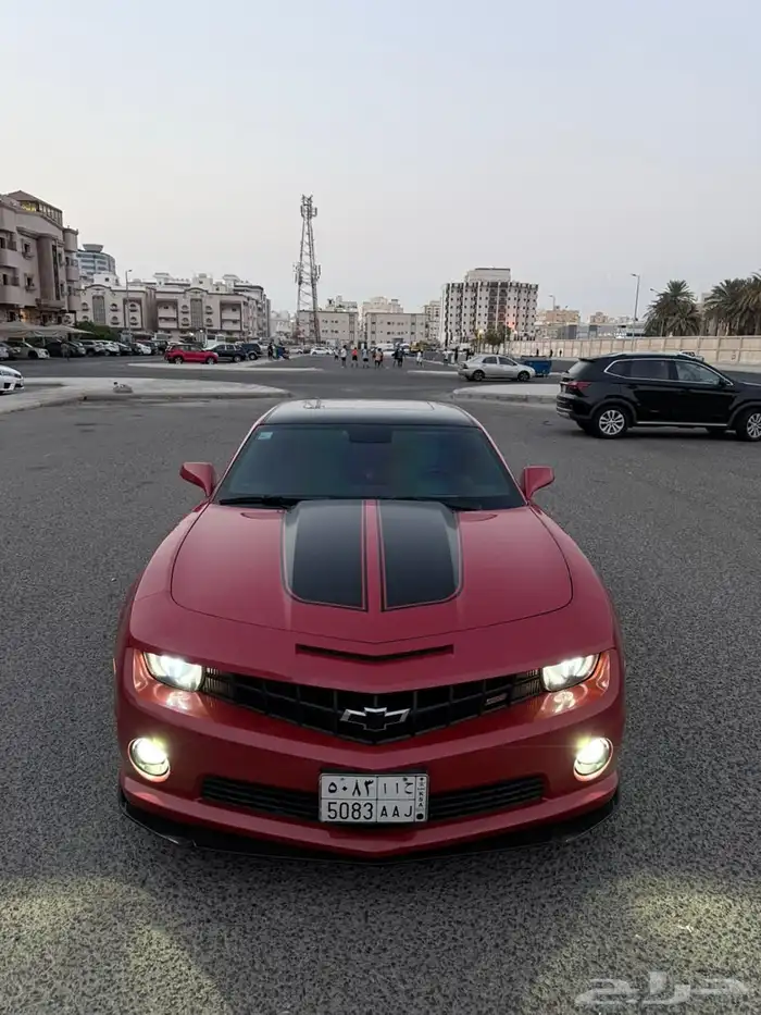 كومارو 2013 18