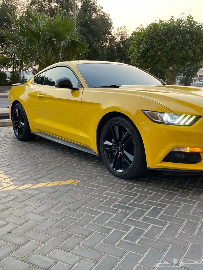 موستنج ايكو بوست 2016 V4 تيربو بودي بلد وارد سعودي 6