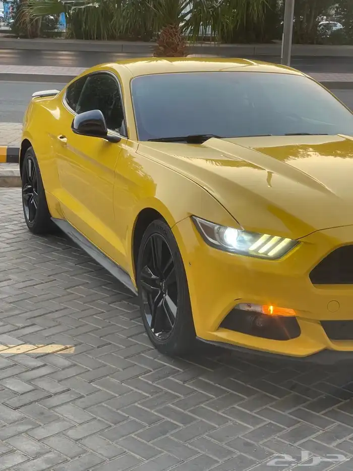 موستنج ايكو بوست 2016 V4 تيربو بودي بلد وارد سعودي 20