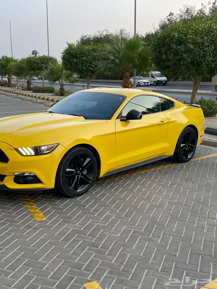 موستنج ايكو بوست 2016 V4 تيربو بودي بلد وارد سعودي 23