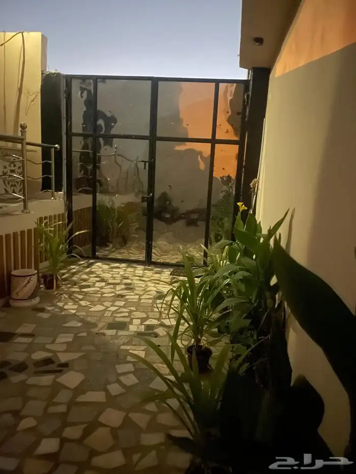 يكون كوفي نسائي داخل صالون ونادي نسائي 1