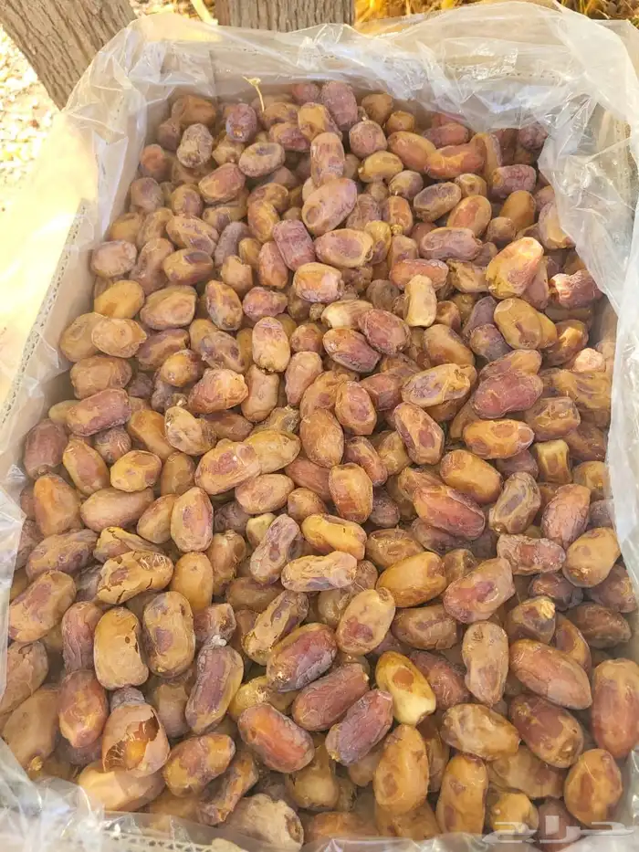 تمور للبيع 3