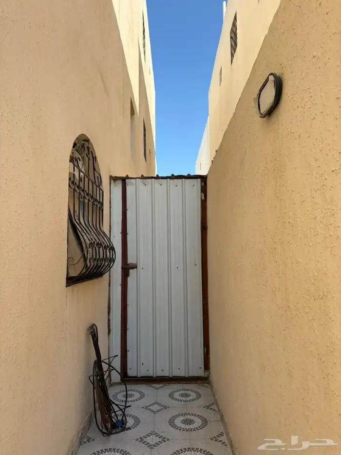 شينكو فقط لللبيع 0