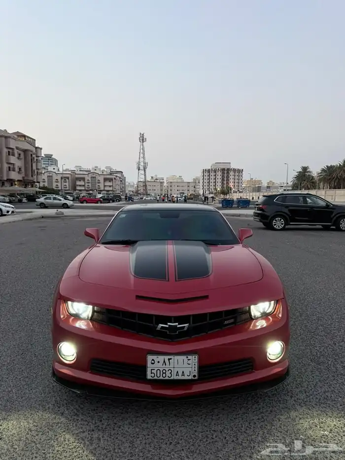 كومارو 2013 21