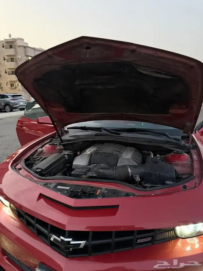 كومارو 2013 4