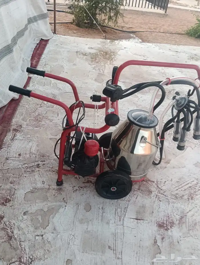 حلابه بقر وحصاده ثيل 0