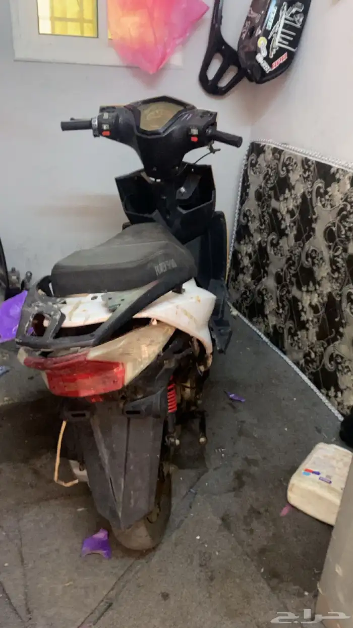 دباب ع جيب 2
