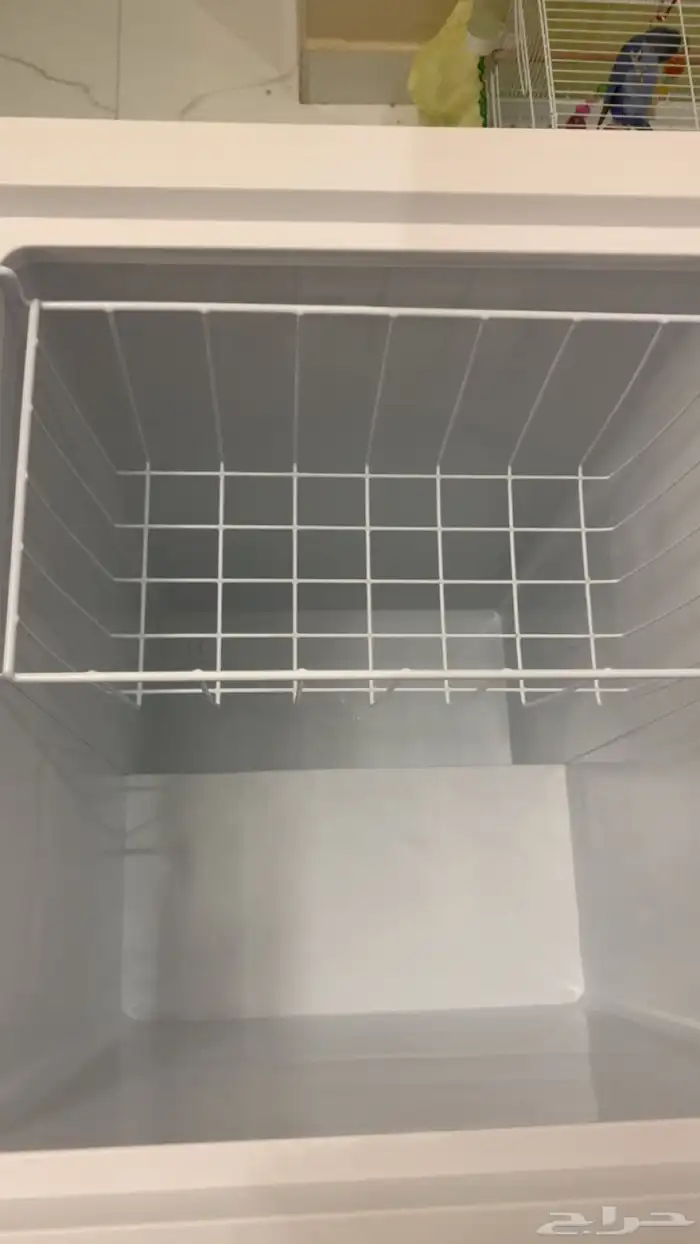فريز 5