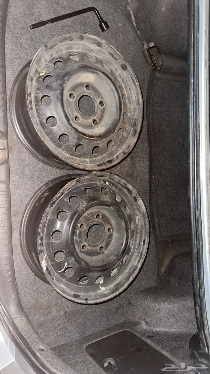 جنوط النتراء اصليه للبيع 0