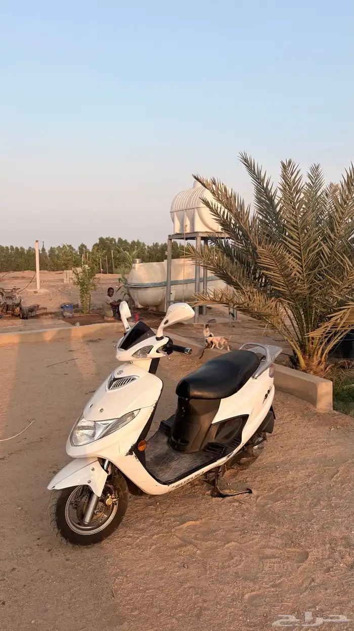 دباب عجيب سوزوكي 125 0