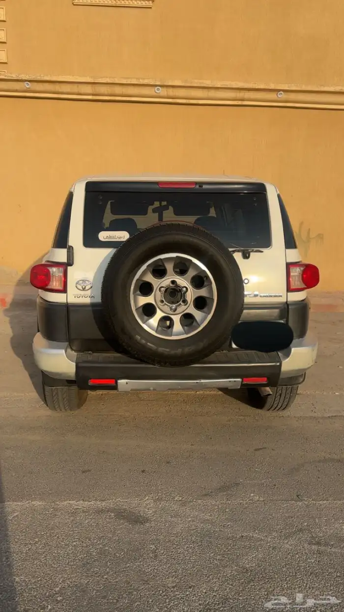 افجي 2013 3