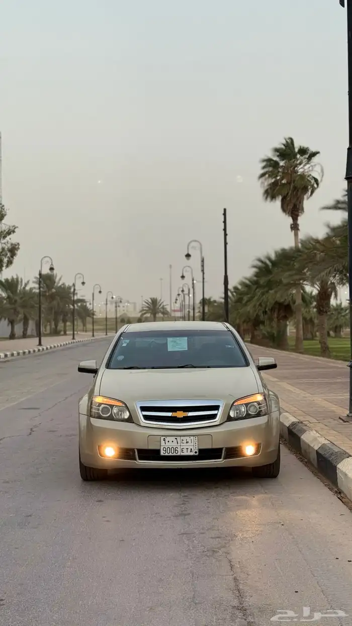 كابرس 2009 9