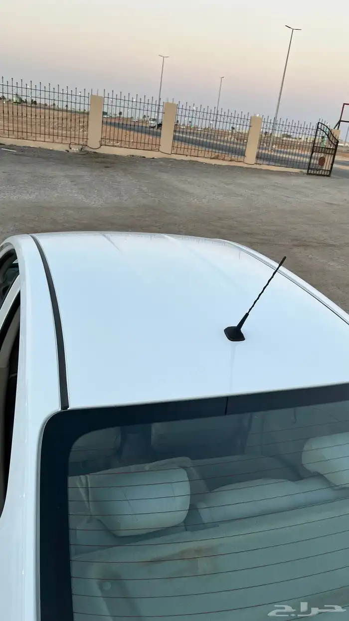 صني 2022 ستاندر شرط 10