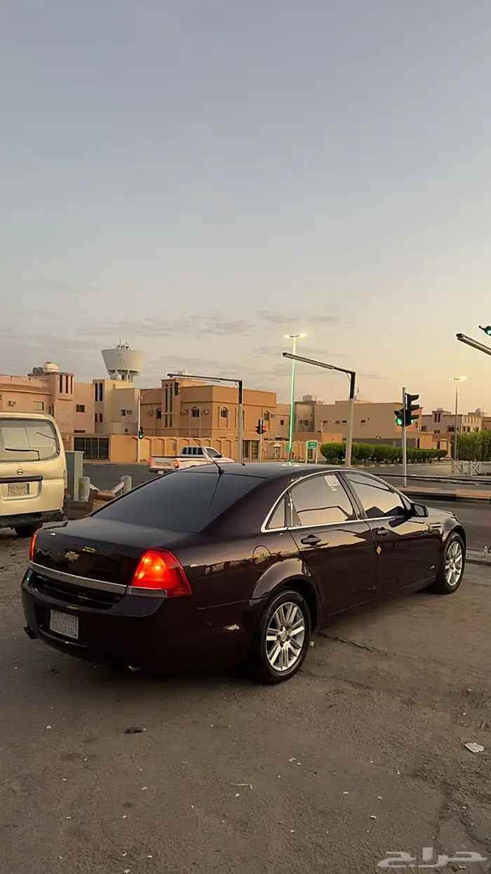 كابرس 2013 6