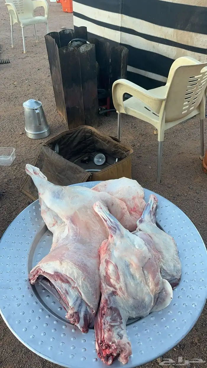ذبائح نعيم هرافي 23
