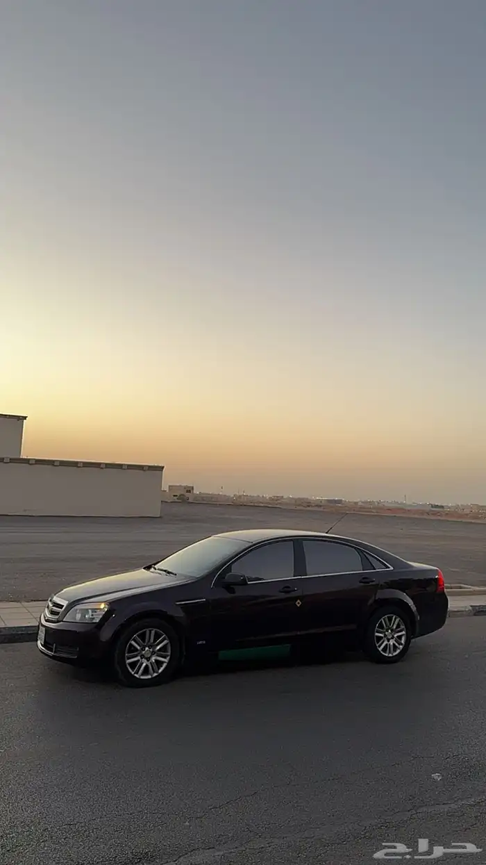 كابرس 2013 1