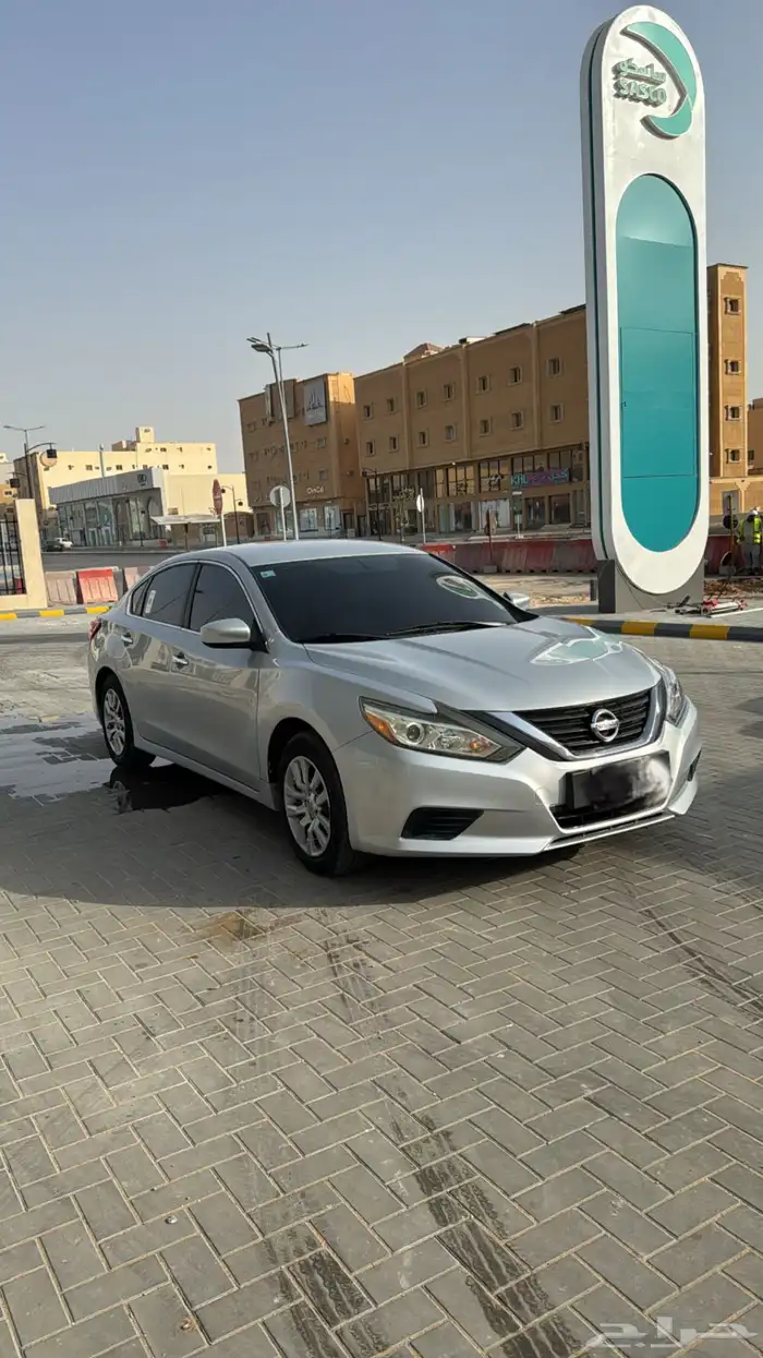 التيماء استاندر نظيف 2