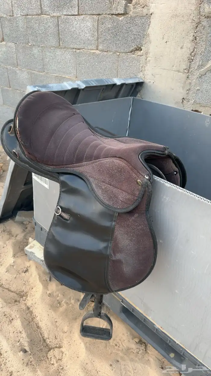 حصان شعبي كفو 6