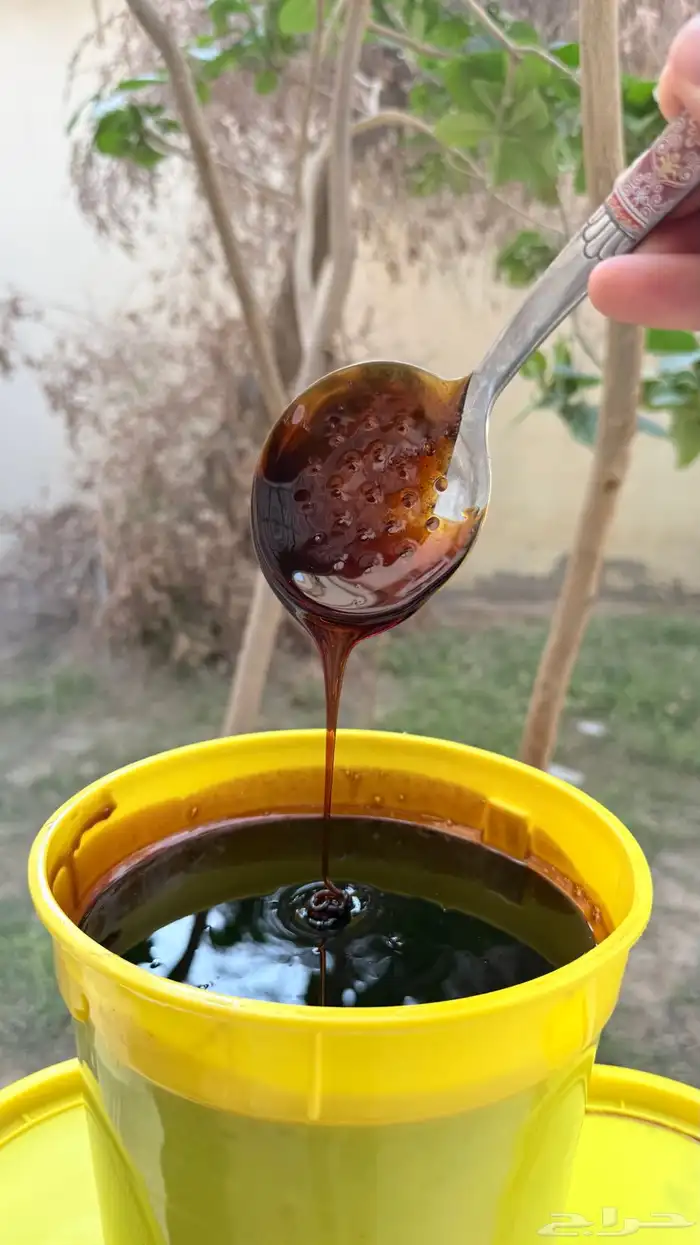 دبس تمر الخلاص الحساوي 0