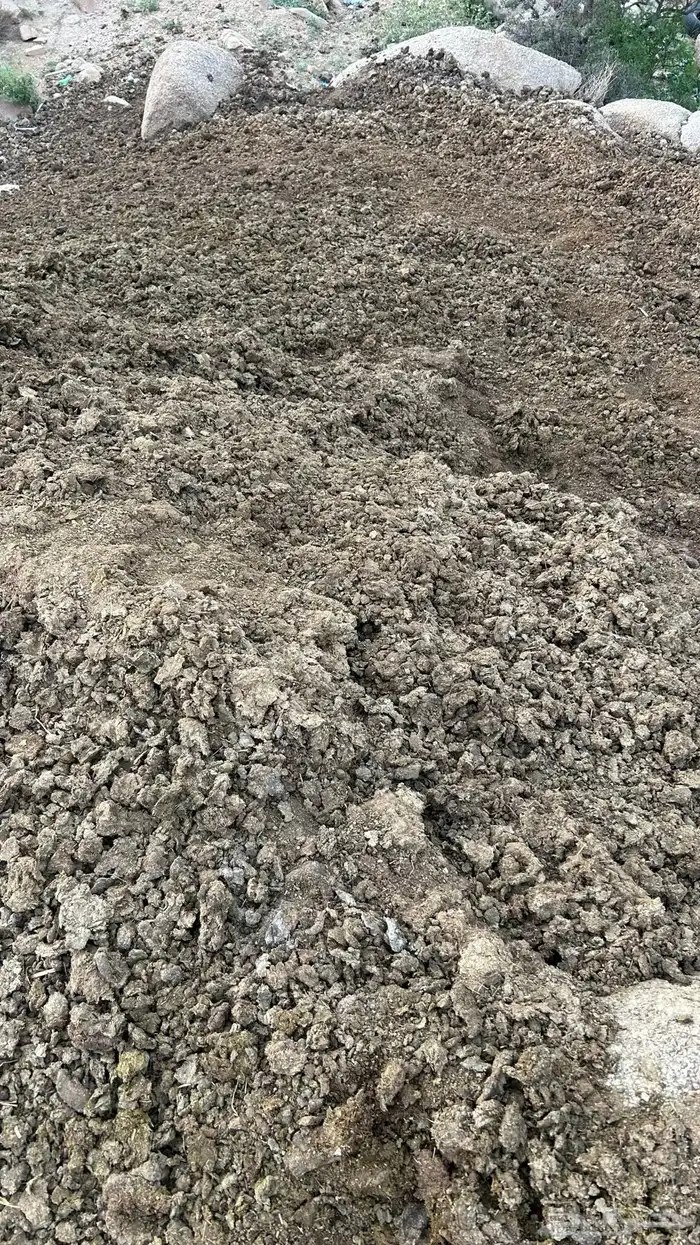 سماد بقر 0