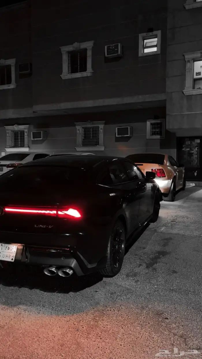 يوني في سبورت 2025 1