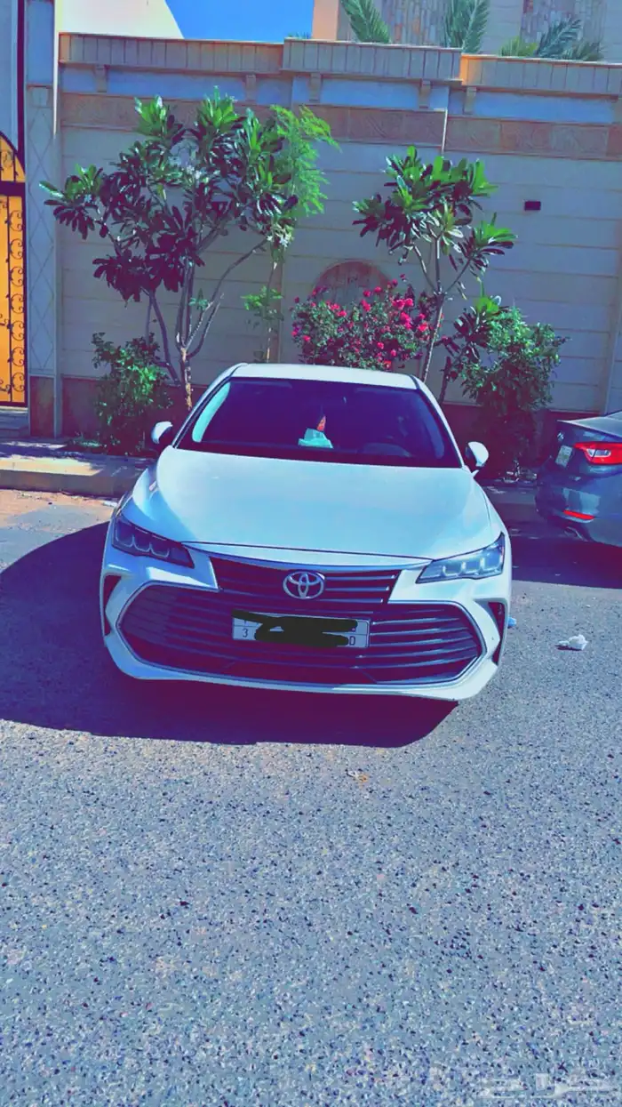 افلون 2019 0