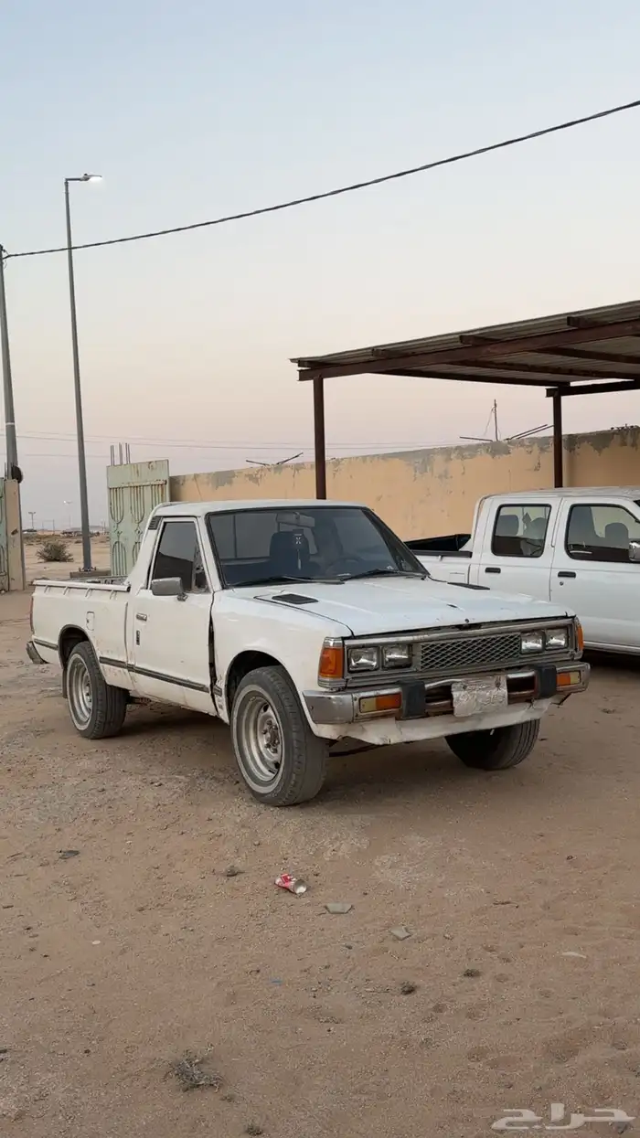 ددسن 2